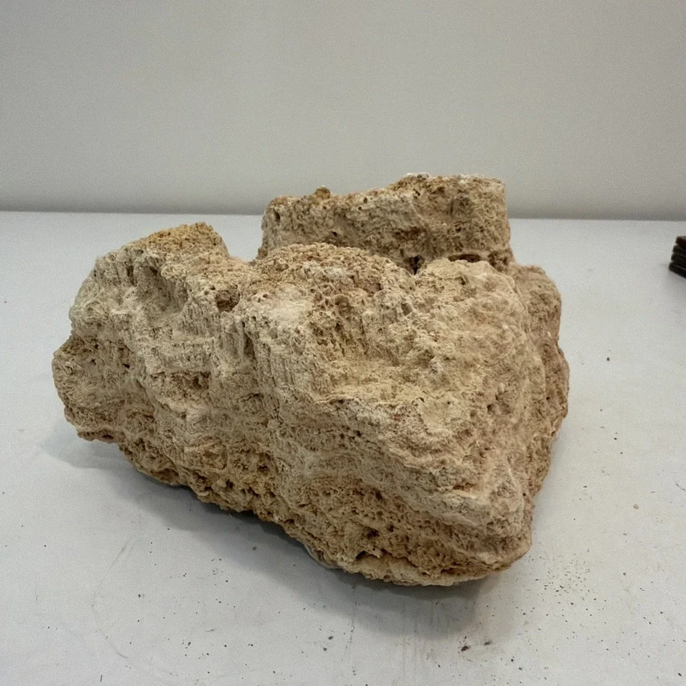CORAL 8